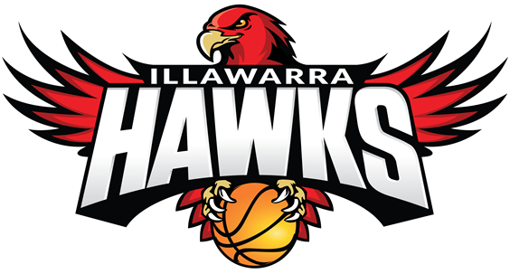 Illawarra Hawks 2015 16-Pres Primary Logo vinyl decal